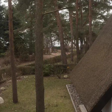 Reetdach-ferienhaus In Quilitz Rankwitz