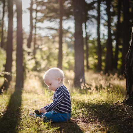 Reetdach-ferienhaus In Quilitz Semesterbostad