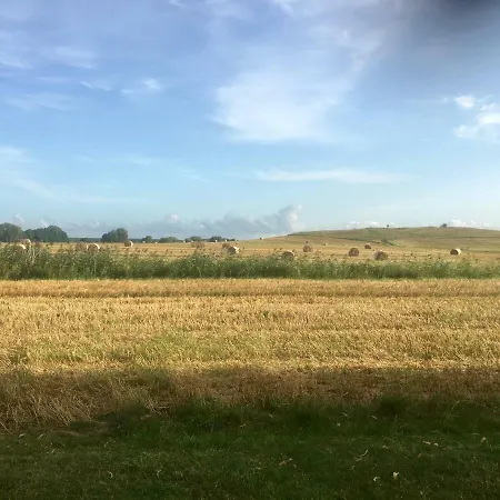 Reetdach-ferienhaus In Quilitz