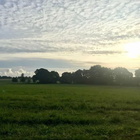 Reetdach-ferienhaus In Quilitz Semesterbostad *
