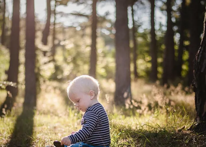 Reetdach-ferienhaus In Quilitz Casa de Férias